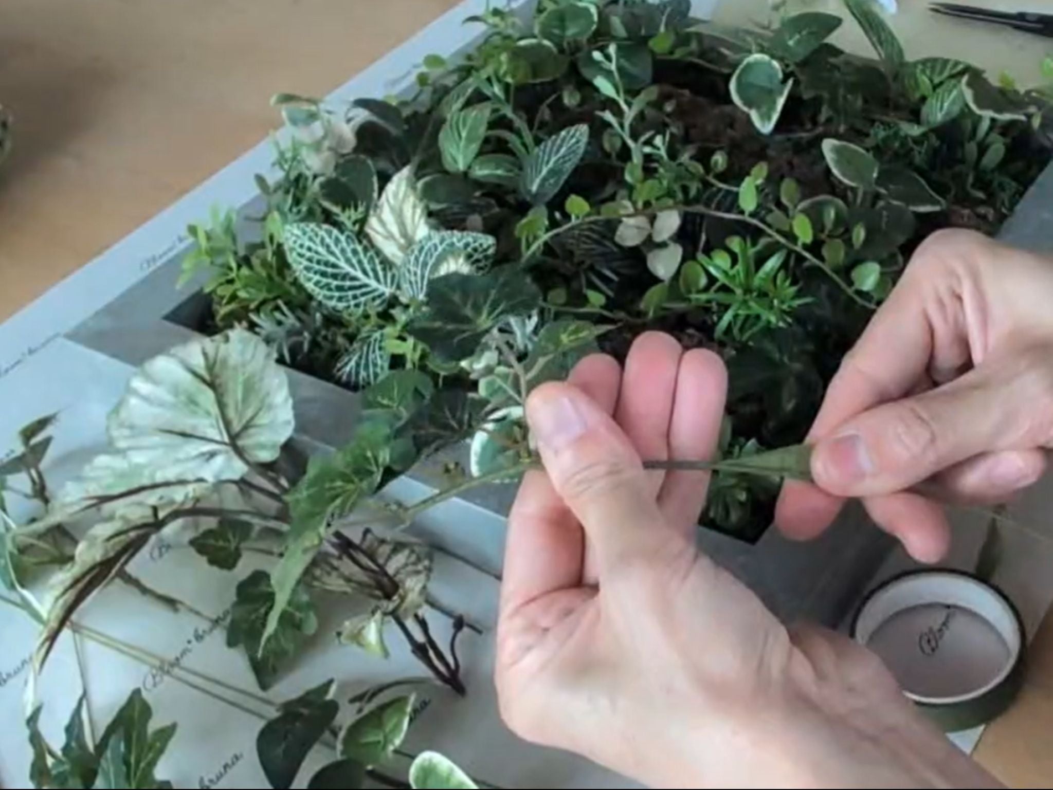 SONO＋Cができるまで──可能性を信じ続けた先に、運命の出会いがありました