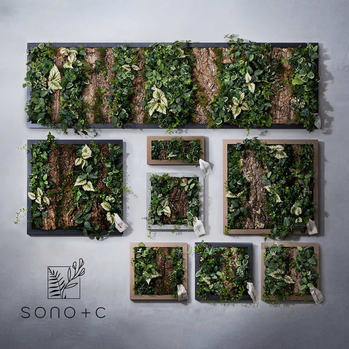 SONO＋C フレーム