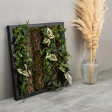 玄関置きイメージ（W500×H500）