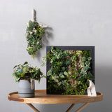 SONO＋Cシリーズ