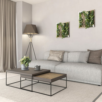 リビング設置イメージ（ブロンズ／W500×H500）