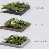 空間に合わせて選べるフレームカラー3色展開