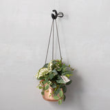 ポット（L）×ハンガーリング（ブラック）×ラーケルハンギング11コッパ―