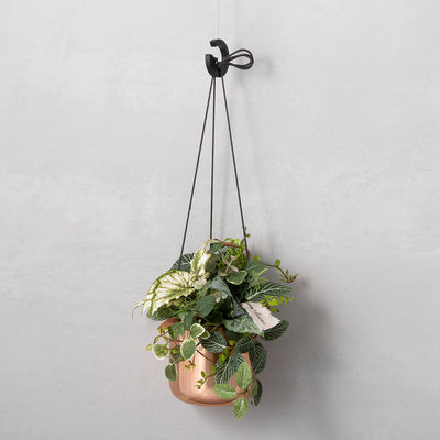 ポット（L）×ハンガーリング（ブラック）×ラーケルハンギング11コッパ―