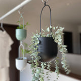 自由に吊るすことができる植木鉢