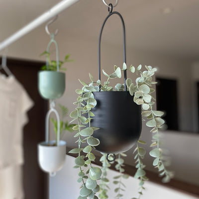 自由に吊るすことができる植木鉢