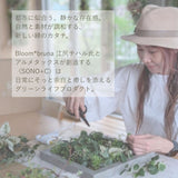 SONO+Cに込めた想い