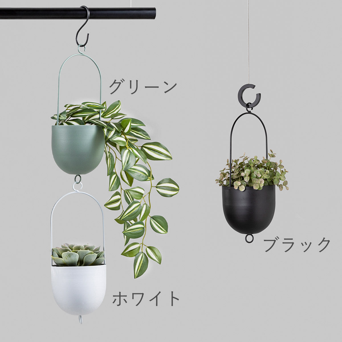 Nサイズ カラーバリエーション