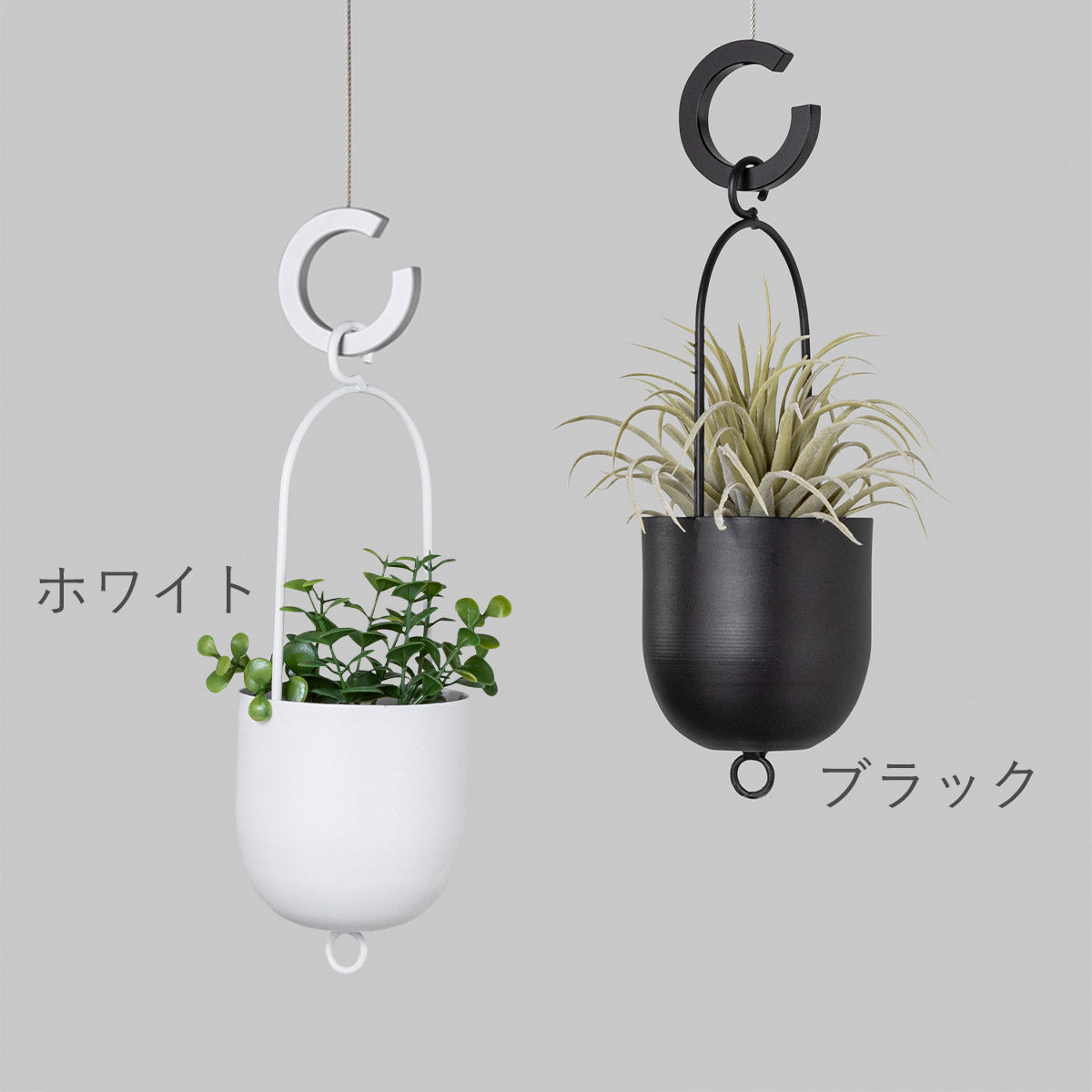 Sサイズ カラーバリエーション